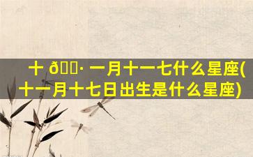 十 🌷 一月十一七什么星座(十一月十七日出生是什么星座)